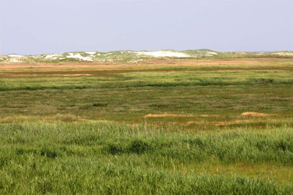 Ferienwohnung-Soltau-1-Og-Rechts Sankt Peter-Ording Esterno foto